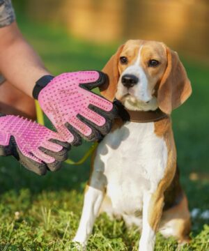 Koiran harjaushanskat -tarjoustaivas.fi